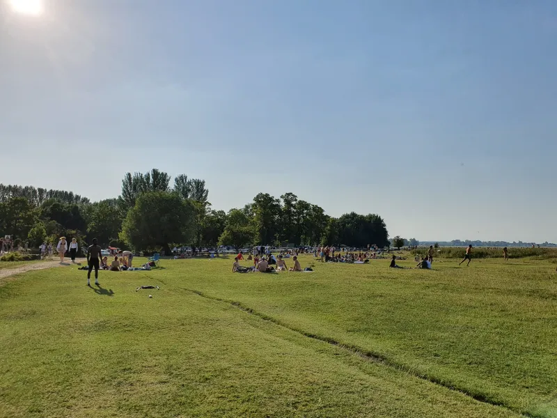 Port Meadow Circular — Walk, Jericho, Oxford